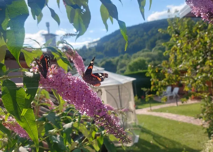 B&B Stella Alpina