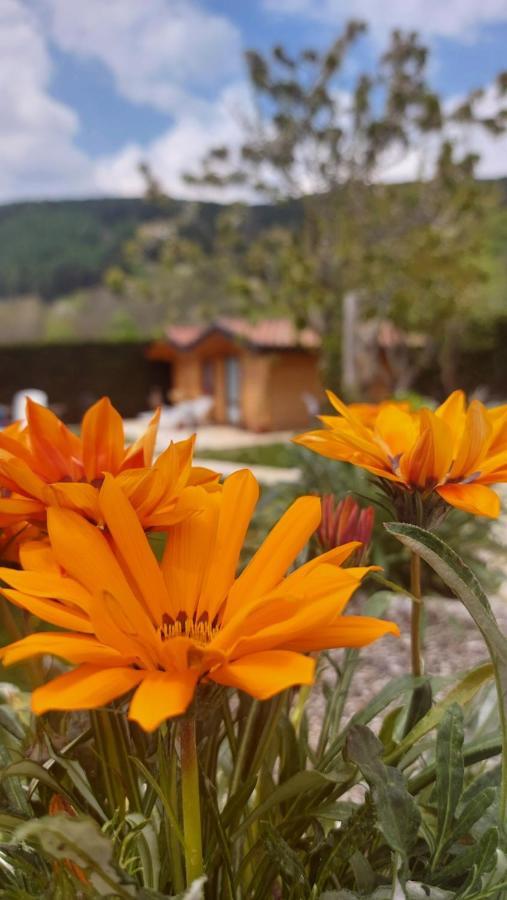 Stella Alpina Alojamento de Acomodação e Pequeno-almoço